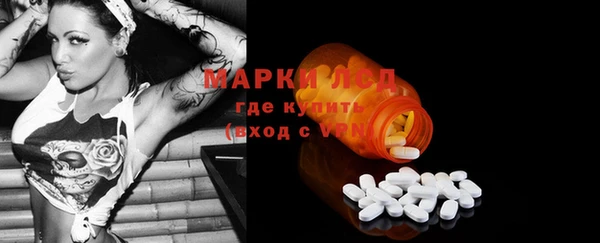 крисы Алзамай