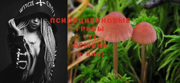 прущая мука Каменка