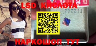 индика Кулебаки