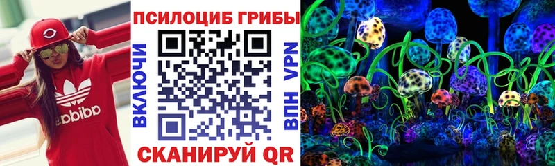 купить закладку  kraken как войти  даркнет наркотические препараты  Калач-на-Дону  Псилоцибиновые грибы мицелий 